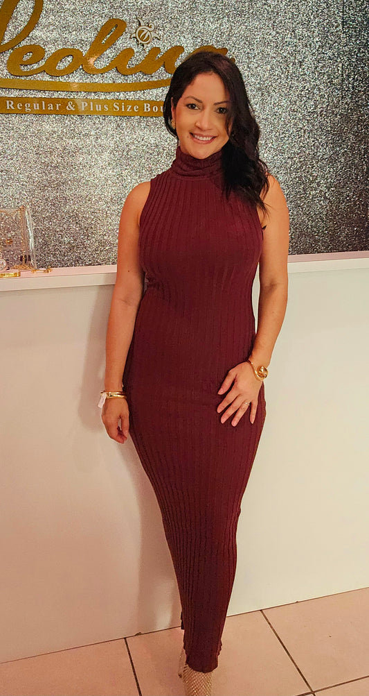 Turtle Neck Chocolate Dress